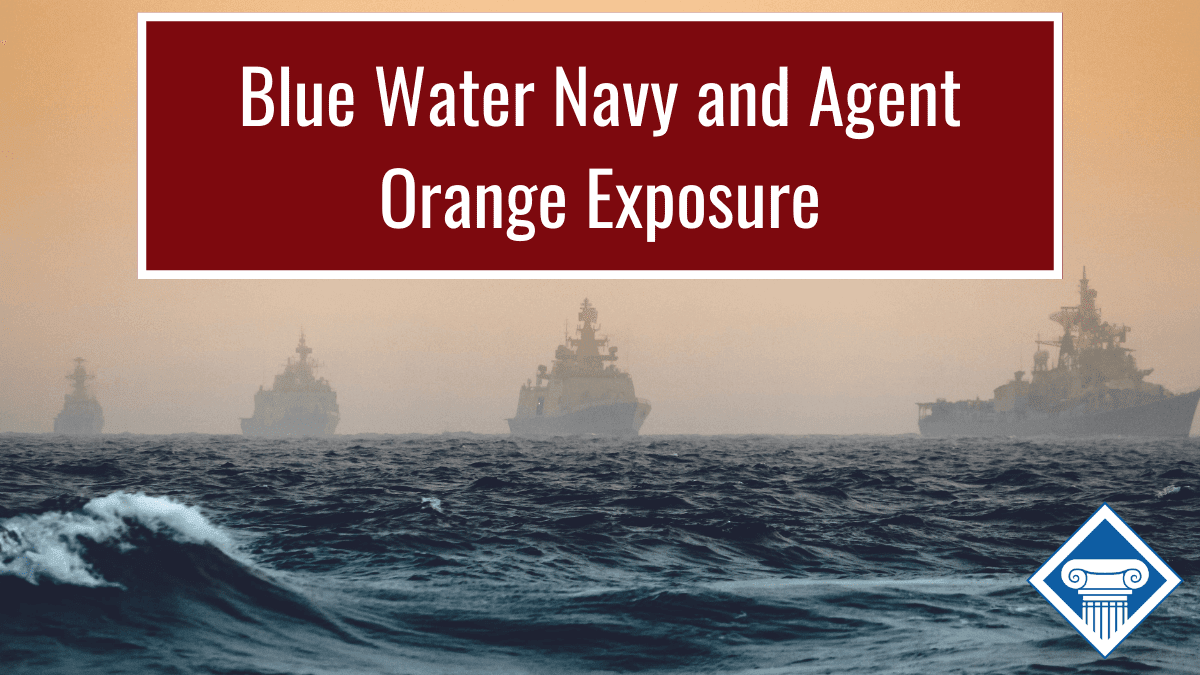 Photo of an ocean with Navy ships in the distance. Article title across the top: Blue Water Navy and Agent Orange Exposure.